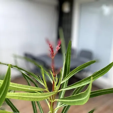 Διαμέρισμα Felicita In Riva Al Mare Λινιάνο Σαμπιαντόρο